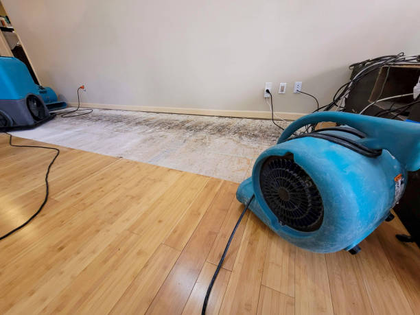 Reliable Basement Flood Cleanup contractor in Warrensburg, IL by Hirex Water Damage