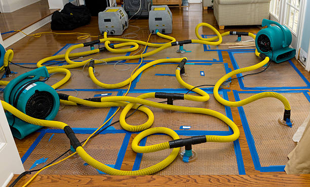 Professional Basement Flood Cleanup technician working in Warrensburg, IL